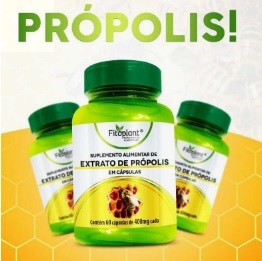 EXTRATO DE PROPOLIS 400MG - 60CAPS FITOPLANT