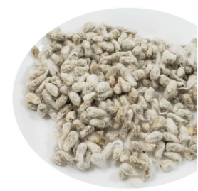 SEMENTE DE ALGODÃO (ALGODOEIRO)