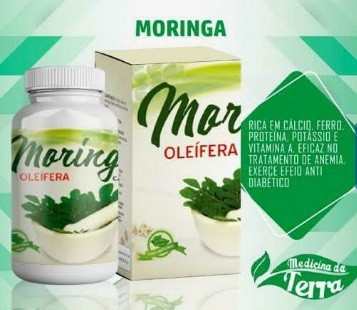 MORINGA 60CAPS ERVA NATIVA