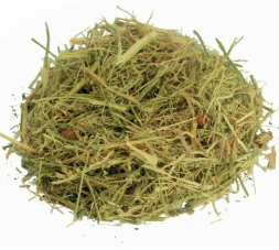 MELÃO DE SÃO CAETANO