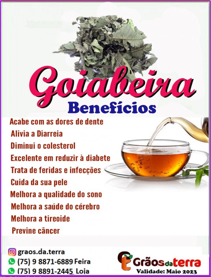 GOIABEIRA