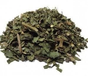 ERVA CIDREIRA (MELISSA LIPPIA)