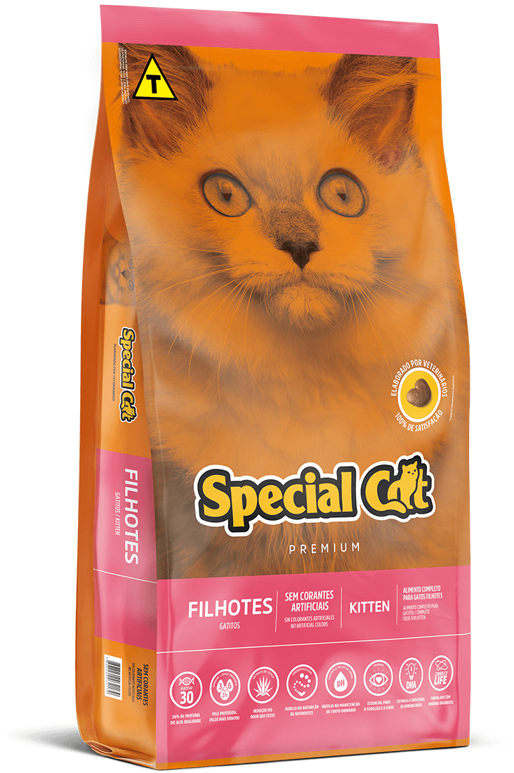 SPECIAL CAT FILHOTES