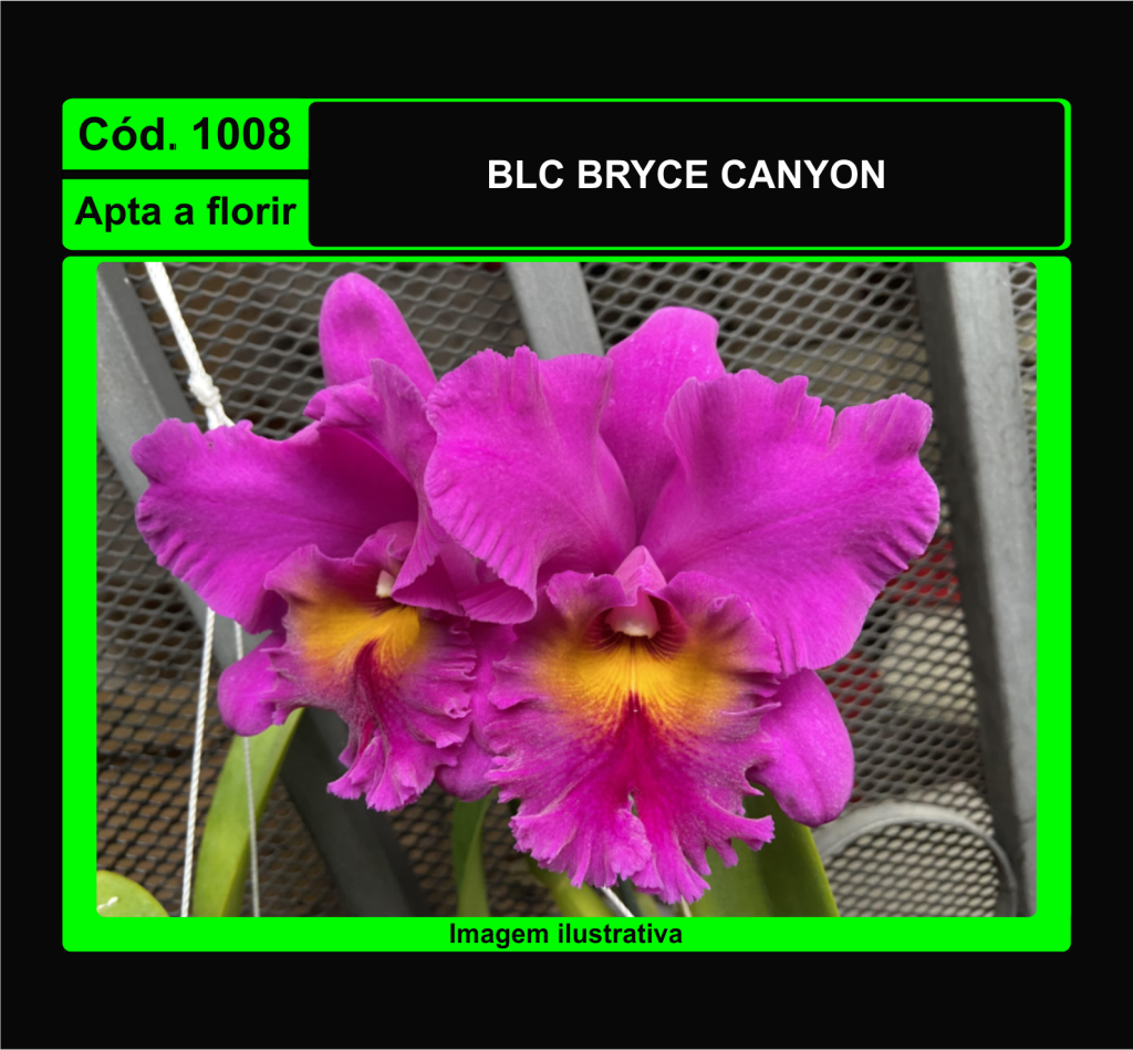 BLC BRYCE CANYON 1008