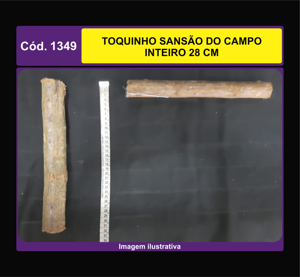 TOQUINHO SANSAO DO CAMPO INTEIRO 28 CM 1349