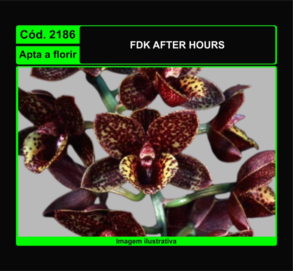 FDK AFTER HOURS 2186