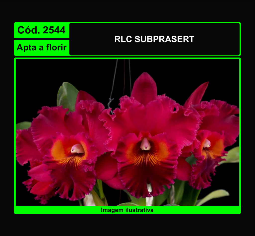 RLC SUBPRASERT 2544