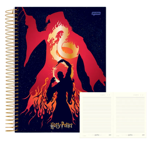 Caderno 1 Matéria Harry Potter - Jandaia
