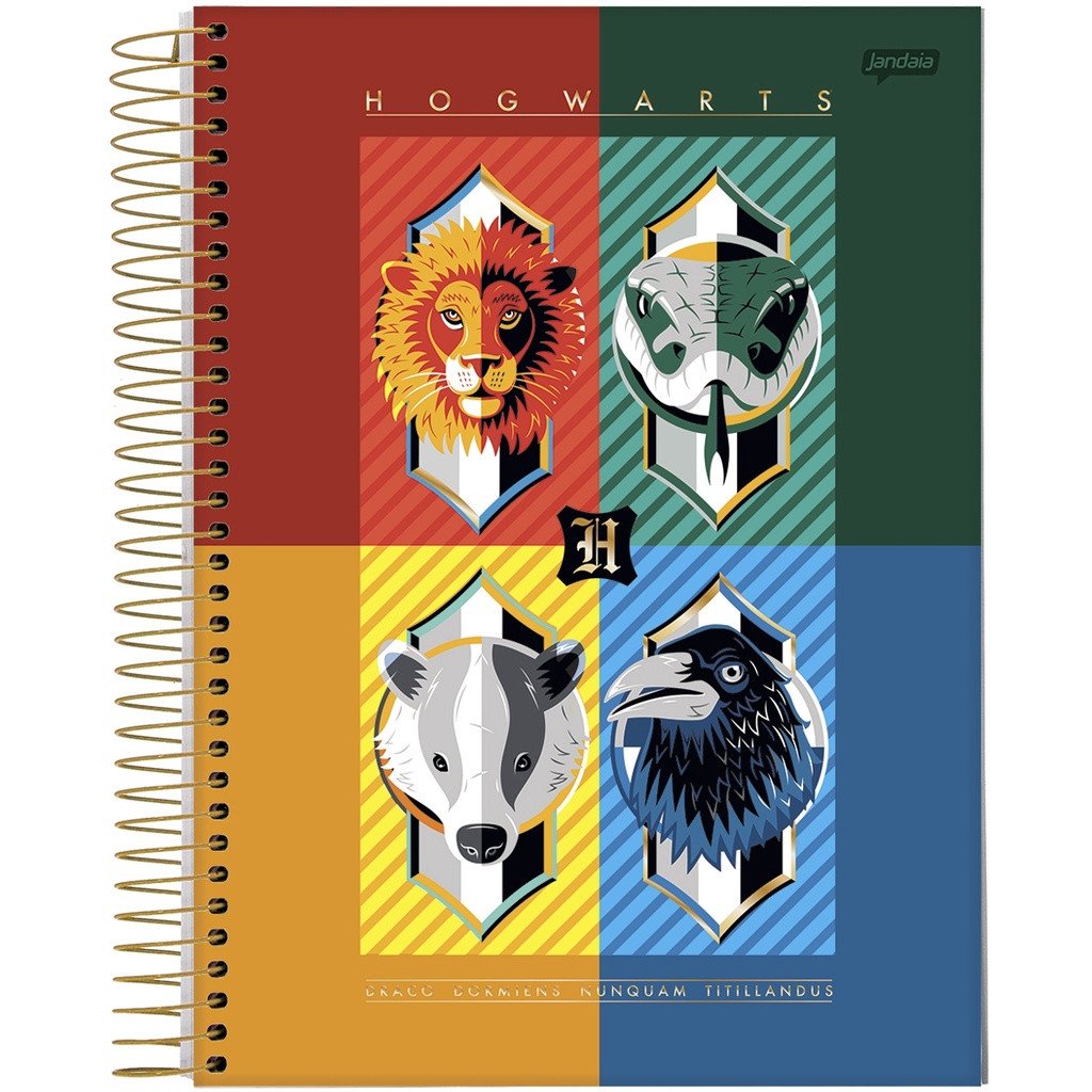 Caderno 1 Matéria Harry Potter - Jandaia