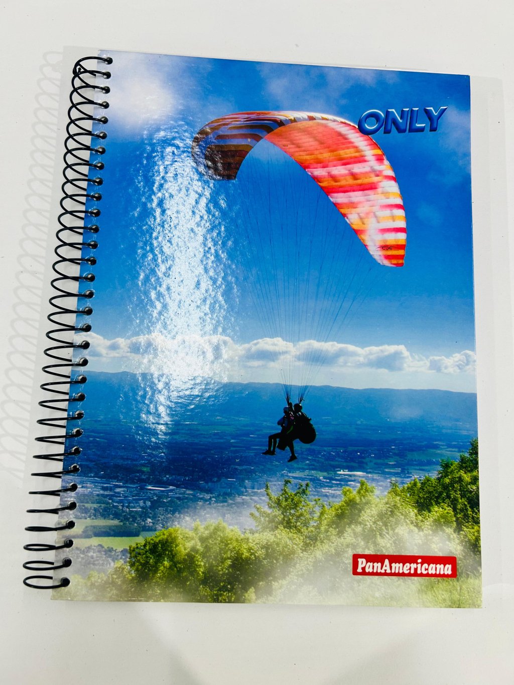 Caderno 10 Matérias Only - PanAmericana