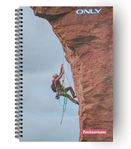 Caderno 20 Matérias Only PanAmericana