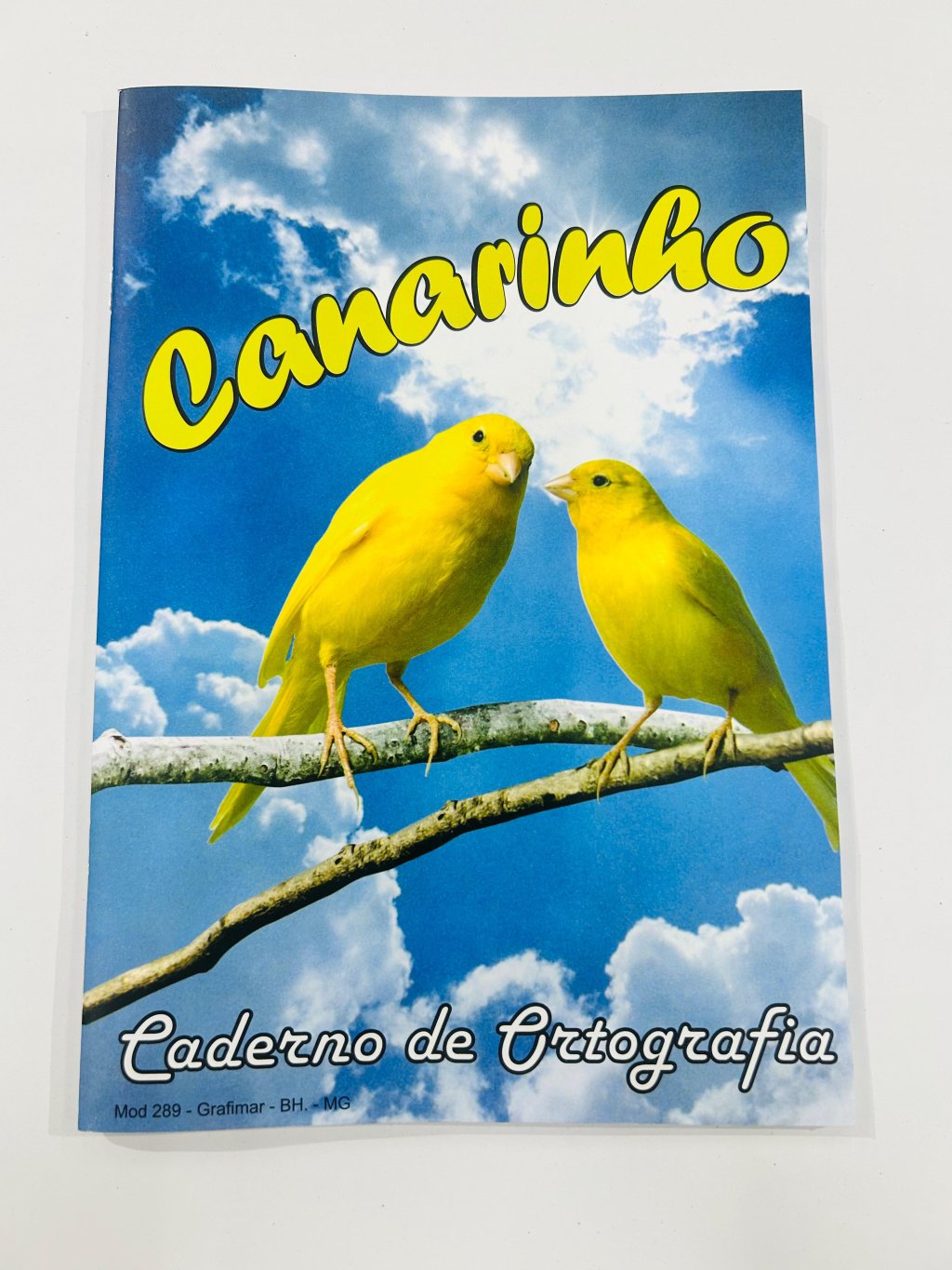 Caderno de Ortografia Canarinho - 48 Folhas