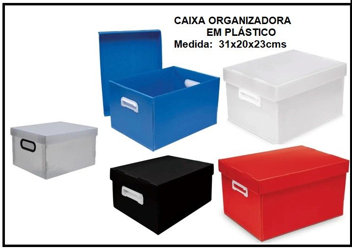 Caixa organizadora EM (PLASTICO) 31X2023 CM