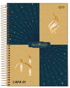 CAD HARRY POTTER HOGWARTS LEGACY JANDAIA