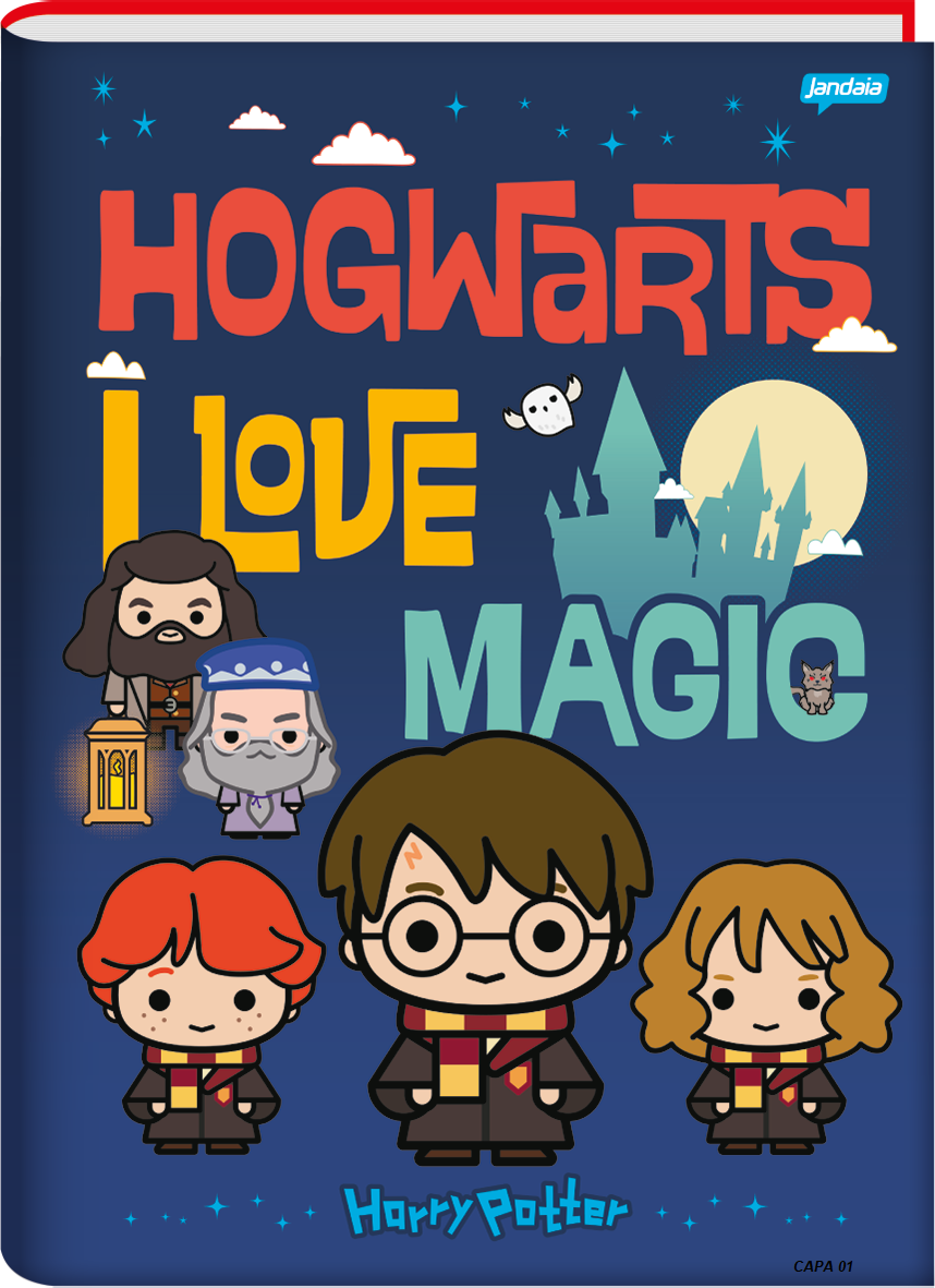 CADERNO BROCHURÃO HARRY POTTER 80 FLS JANDAIA