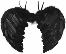 Asa anjo negro 