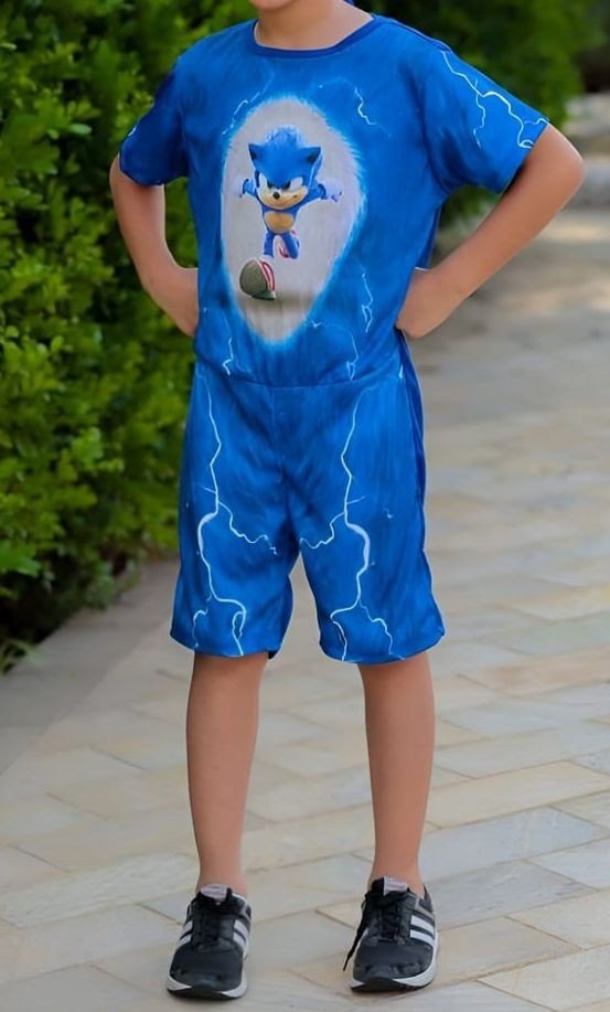 FANTASIA SONIC 