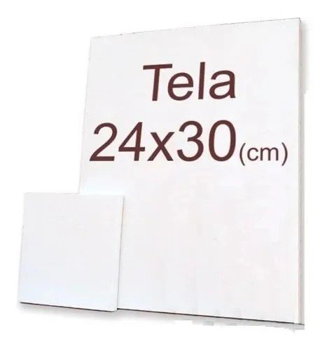 TELA DE PINTURA - 24x30