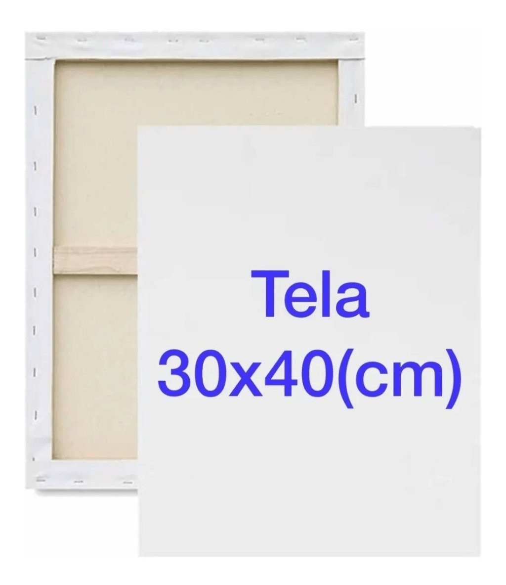 TELA DE PINTURA - 30X40