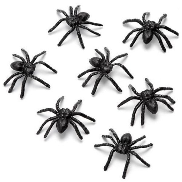 ARANHA PEQUENA C/10 