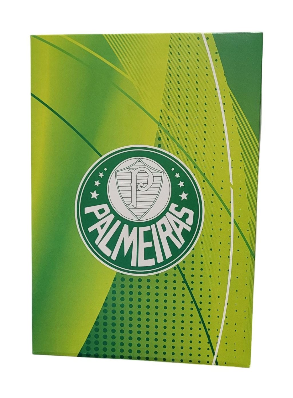 CAIXA RETANGULAR 280X50X194 MM PALMEIRAS