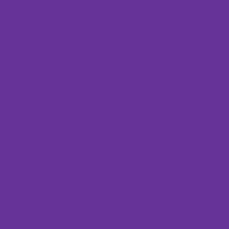 EVA LISO 60X40 ROXO