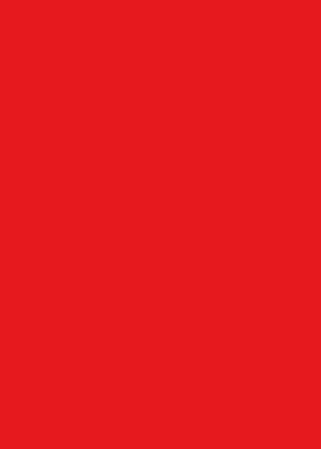 EVA LISO 60X40 VERMELHO