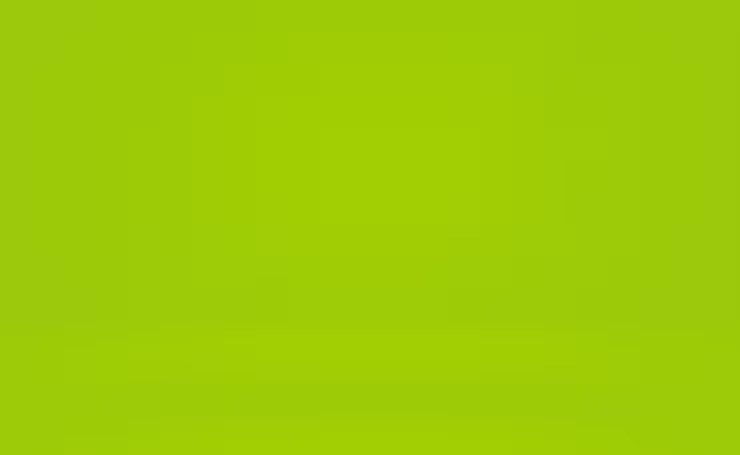 EVA LISO 60X40 VERDE FOLHA 