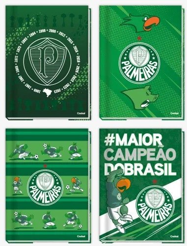 CADERNO BROCHURA GRANDE PALMEIRAS