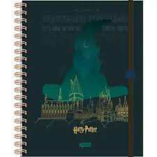 CADERNO INTELIGENTE HARRY POTTER - 80 FOLHAS