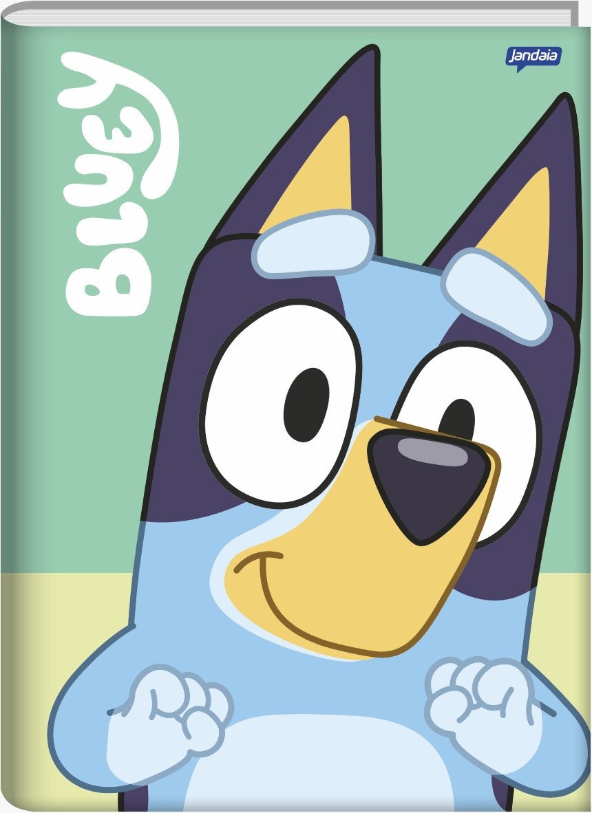 CADERNO BROCHURA BLUEY GR 80FLHS