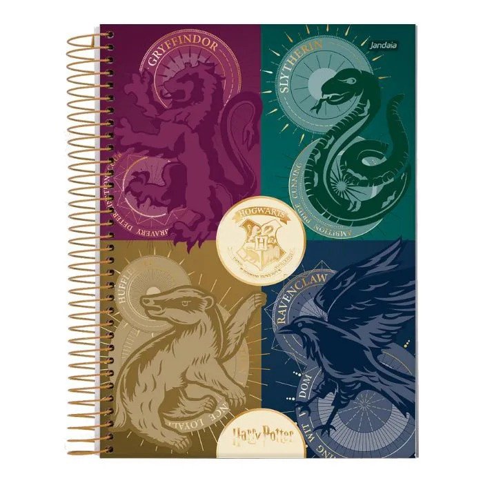 CADERNO HARRY POTTER - 300 FOLHAS