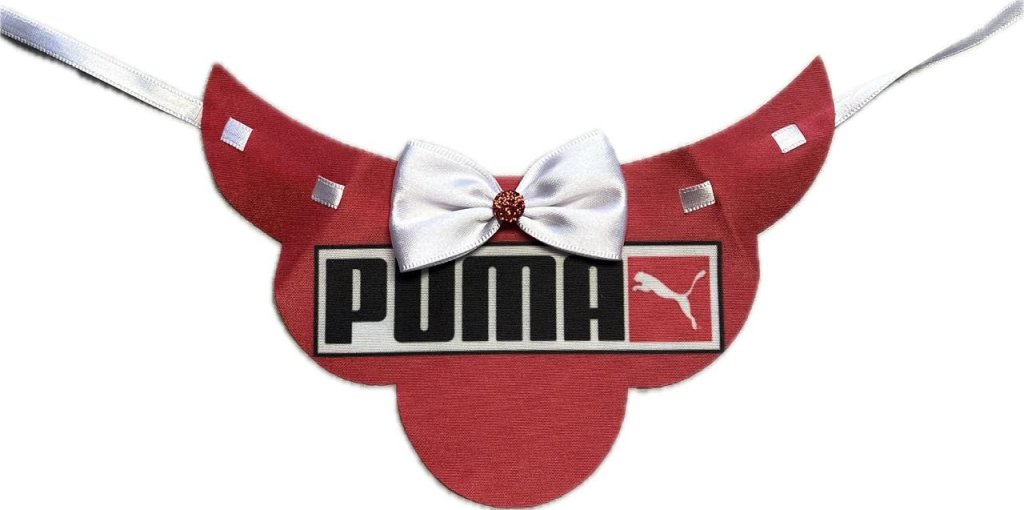 Gargantilha Puma