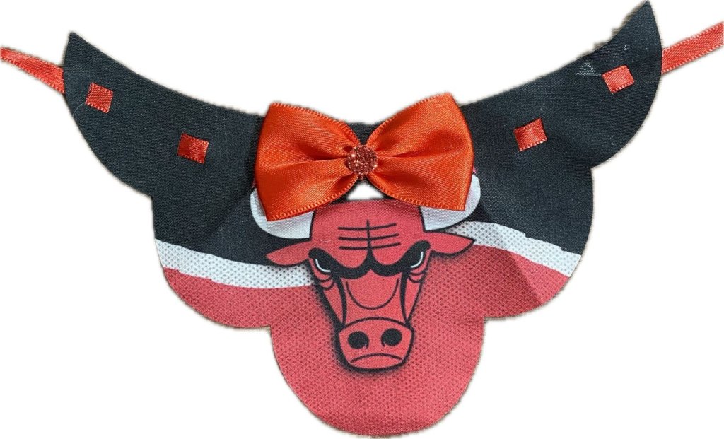 Gargantilha Chicago Bulls