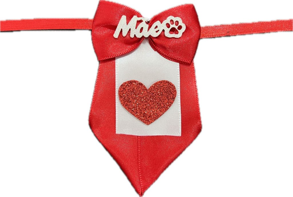 Gravata Mãe 5