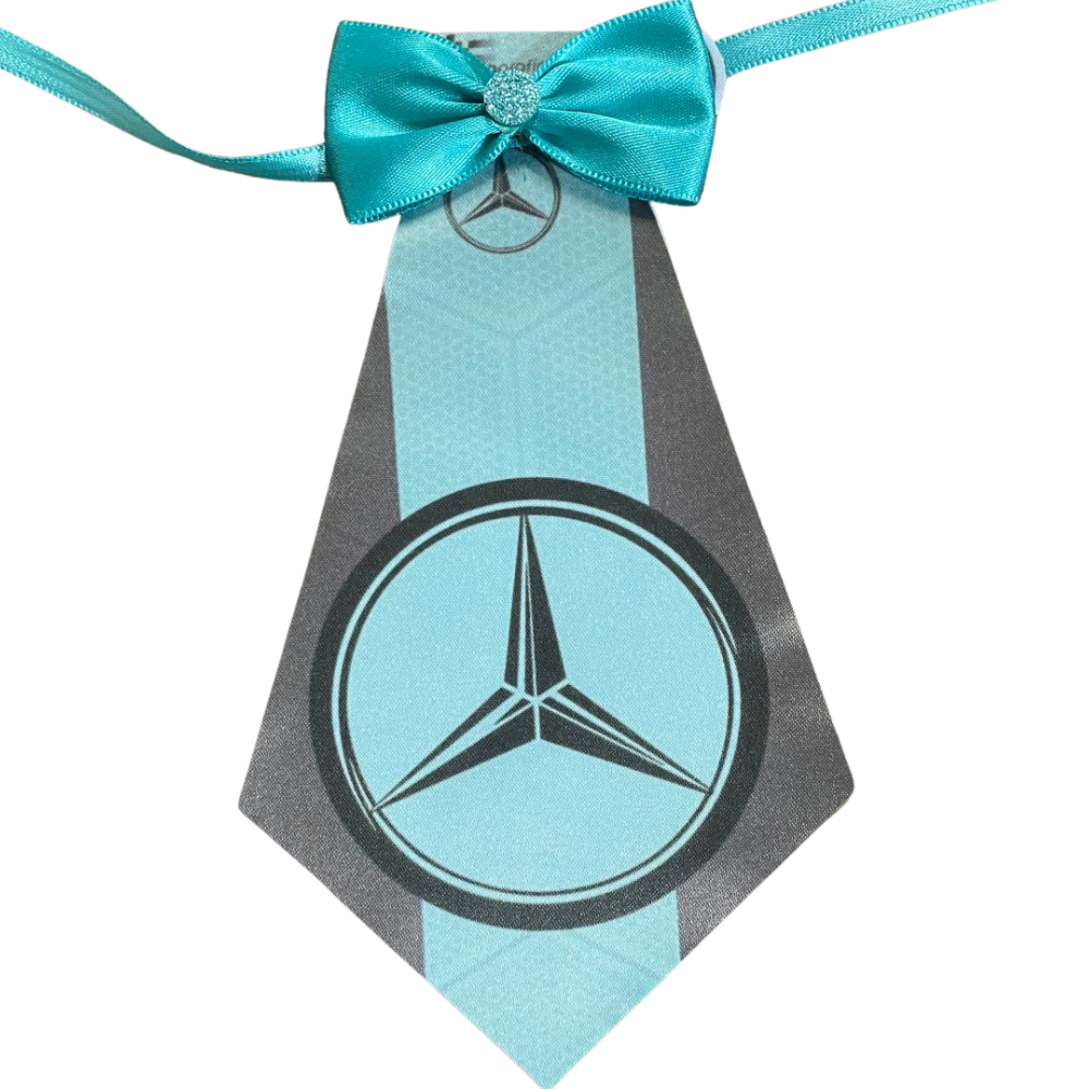 Gravatão Mercedes Benz