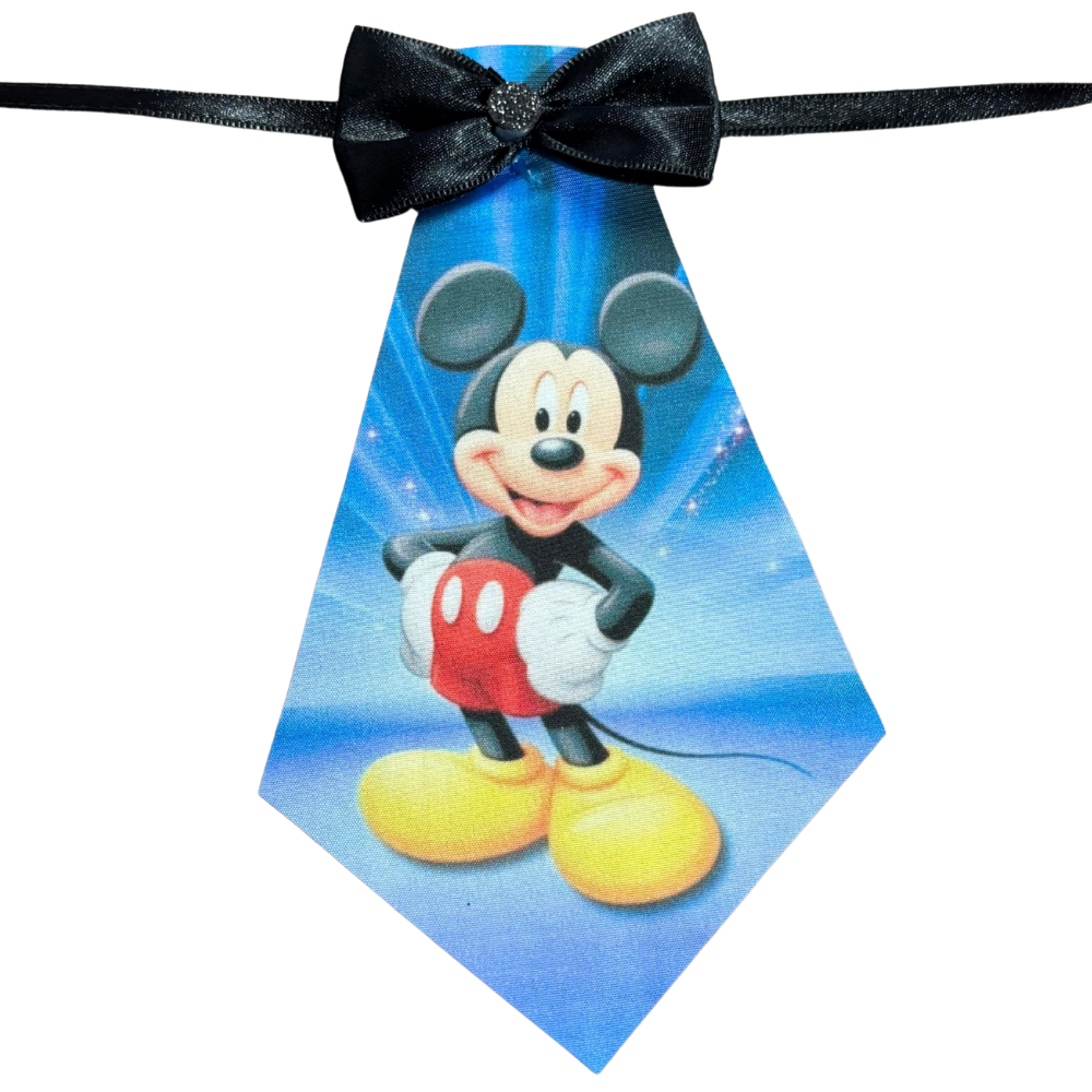 Gravatão Mickey