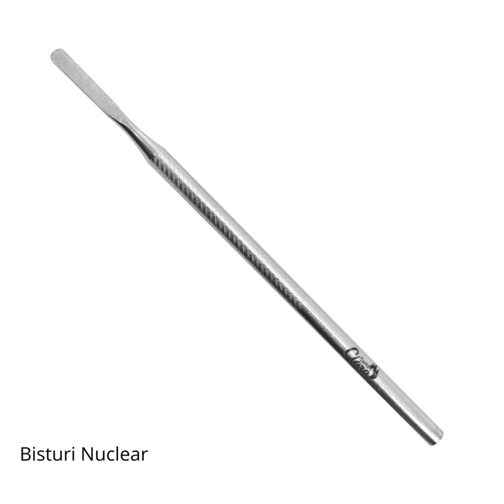 Bisturi Nuclear Santa Clara 