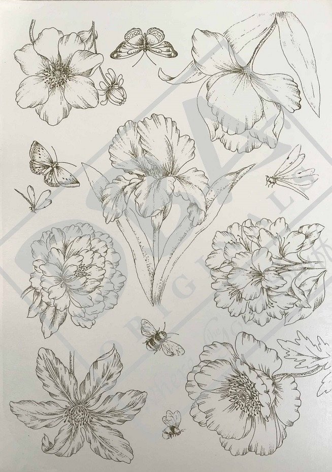 DECALQUE 79 TEXTURES