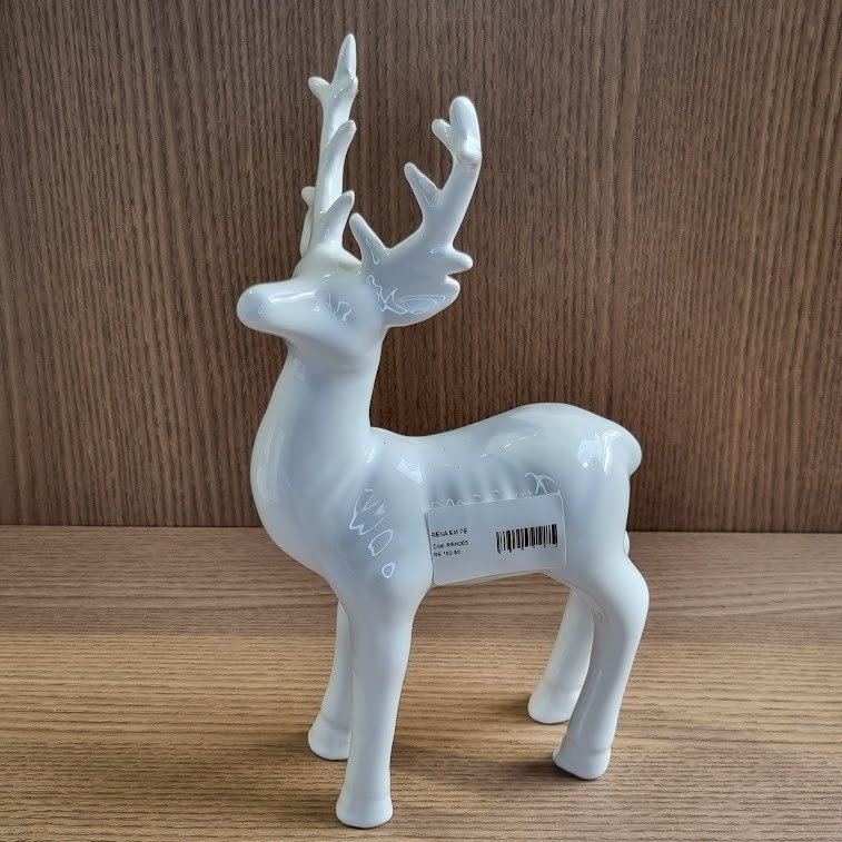 RENA EM PÉ - REN003