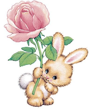 DECALQUE BUNNY & ROSE 