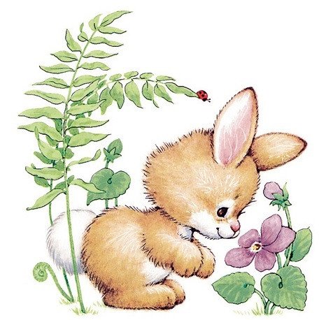 DECALQUE FLOWER BUNNY 