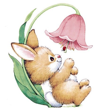 DECALQUE BUNNY & LADYBIRD 