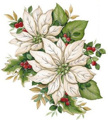DECALQUE WHITE POINSETTIA 