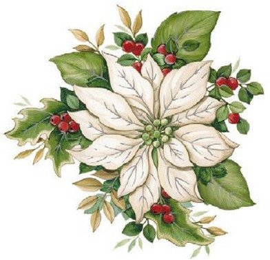 DECALQUE WHITE POINSETTIA 