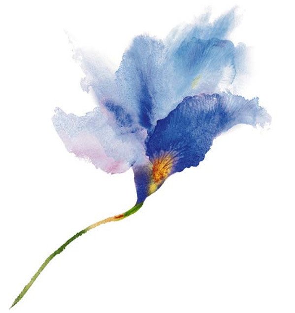 DECALQUE BLUE FLOWER - DEC425