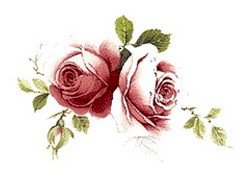 DECALQUE JUBILEE ROSE 