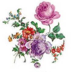DECALQUE MEISSEN FLORAL - DEC389