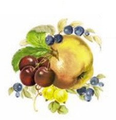 DECALQUE CLASSIC FRUIT - DEC382