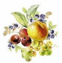 DECALQUE CLASSIC FRUIT - DEC381 